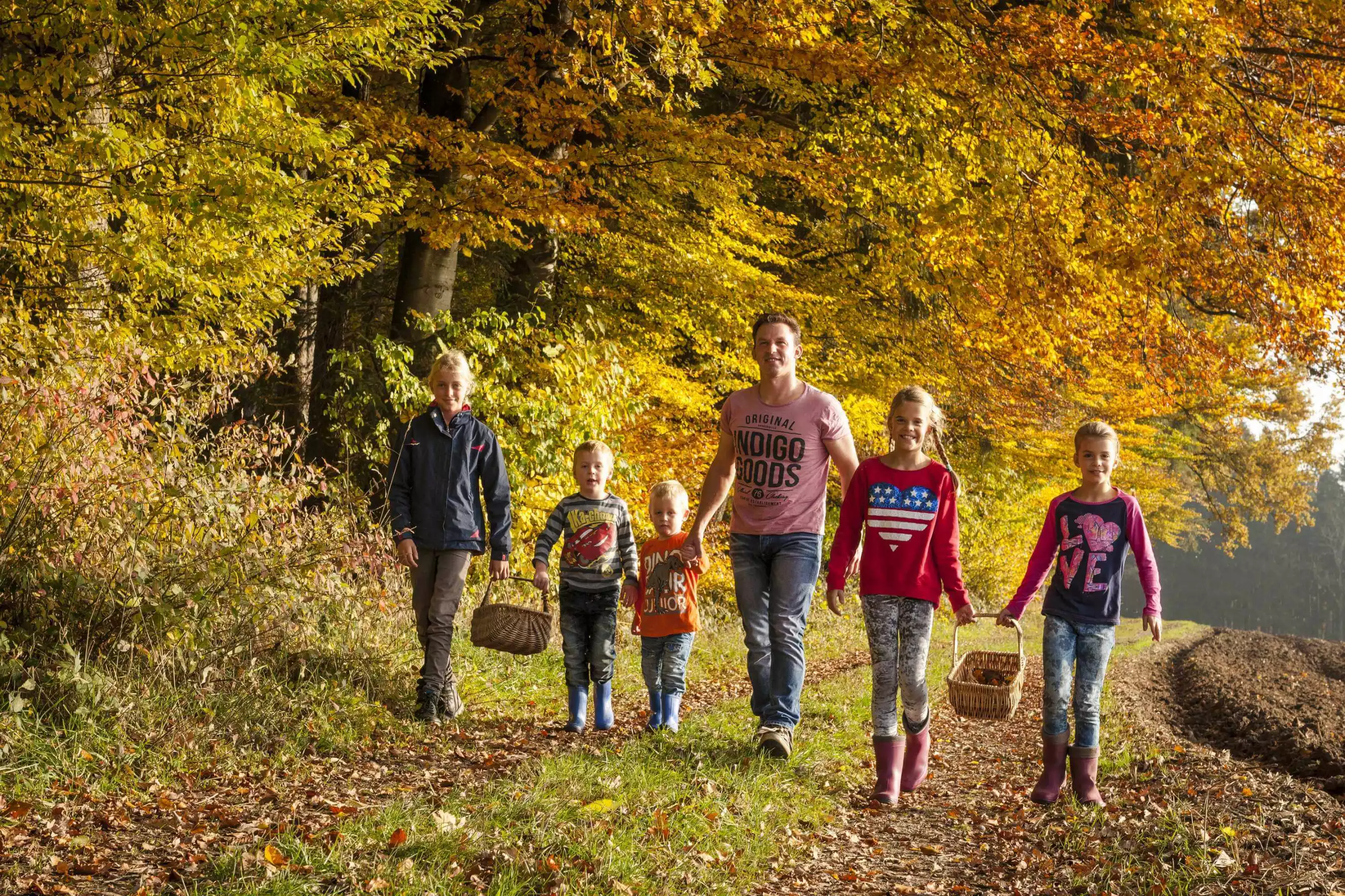 Herbsterlebnis in Wald und Natur