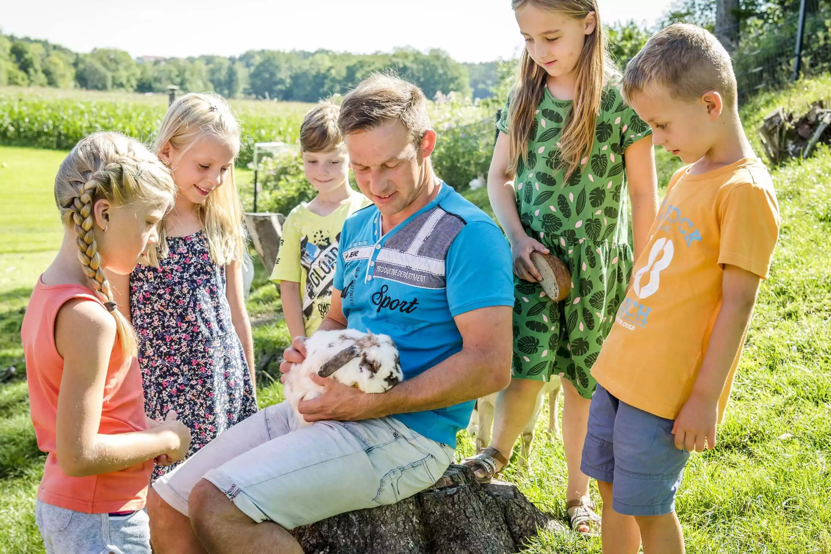 Hasen, Ziegen, Katzen, Meerschweinchen