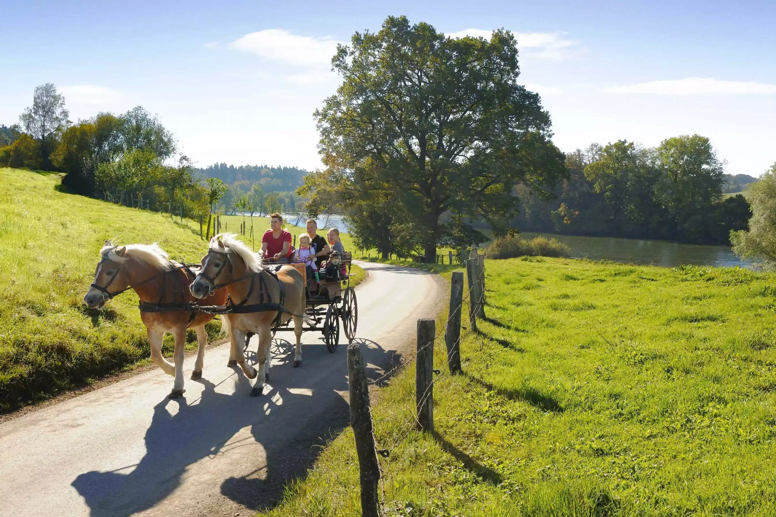 Urlaub auf dem Bauernhof in Oberbayern Chiemsee