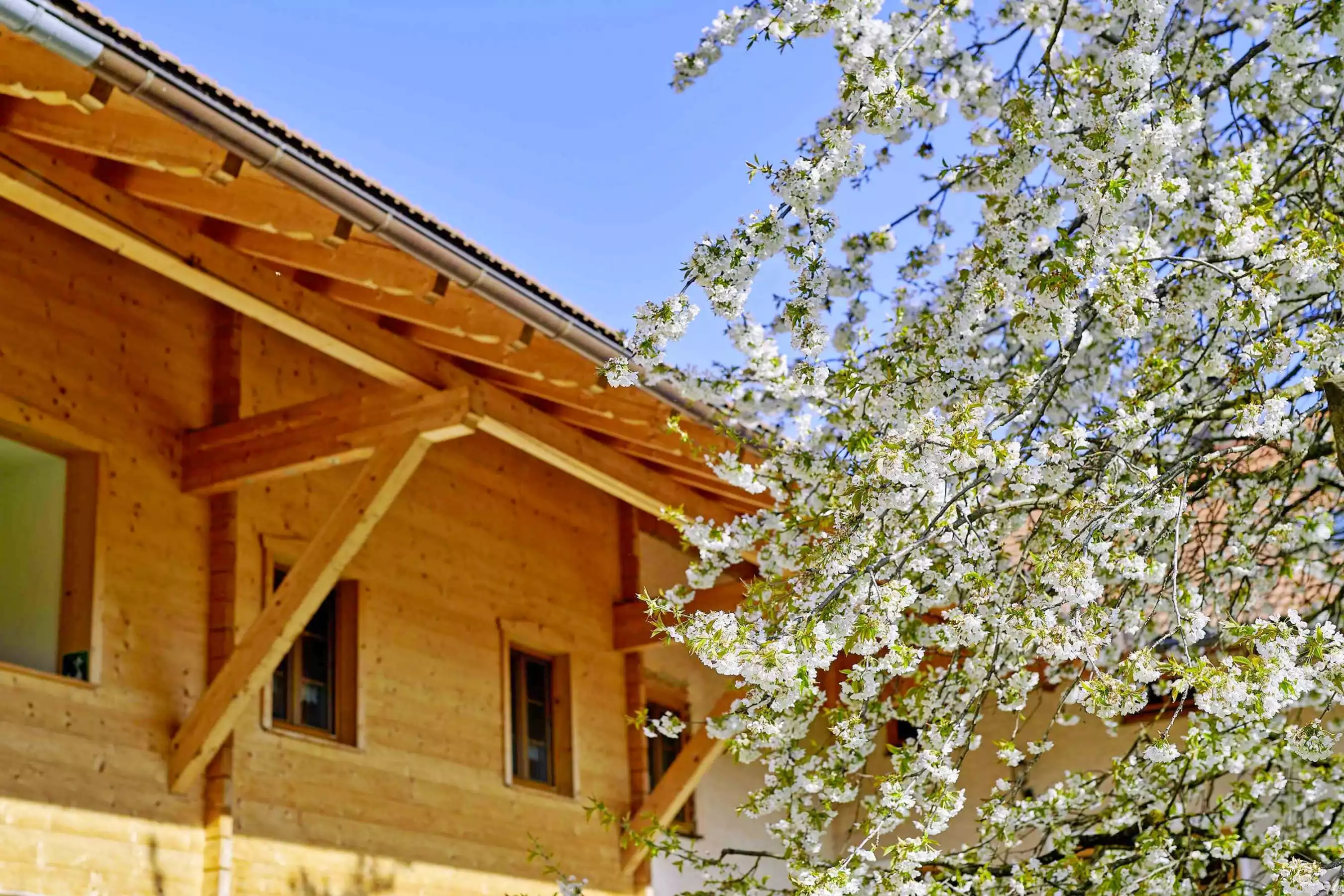 Blauer Gockel Urlaub Huberhof Niesgau